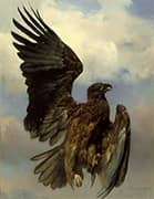 The Wounded Eagle 1870 By Rosa Bonheur