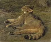 Wild Cat 1850 By Rosa Bonheur