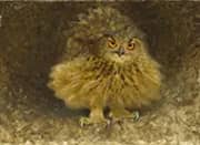 An Eagle Owl 1905 By Bruno Liljefors
