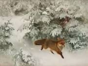 Fox in a Winter Landscape By Bruno Liljefors