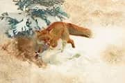 Fox with Hare By Bruno Liljefors
