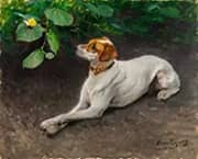 Portrait of a Dog 1891 By Bruno Liljefors