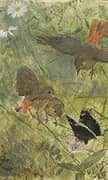 Redstarts and Butterflies 1885 By Bruno Liljefors