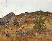 Scenthounds Hunting Fox in Autum 1883 By Bruno Liljefors