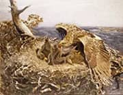 Sea Eagle's Nest 1907 By Bruno Liljefors