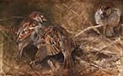 Sparrows among the Thorns 1886 By Bruno Liljefors