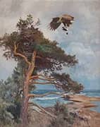 The Eagle Nest By Bruno Liljefors