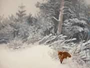 Winter Landscape with Fox 1928 By Bruno Liljefors