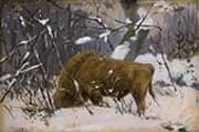 Bison in the Winter Forest of the Rominter Heide By Richard Friese
