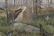 Dead Forest in Canada 1908 By Richard Friese