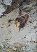 Lion the old Man from the Mountain By Richard Friese