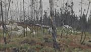 Mixed Forest in Canada 1908 By Richard Friese