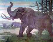 American Mastodon By Charles R Knight