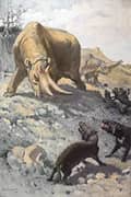 Arsinoitherium Attacked by a Group of Sekhmetops in Fayoum Egypt By Charles R Knight