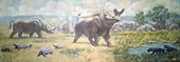 Brontotherium Hyaenodon and Stylemys By Charles R Knight