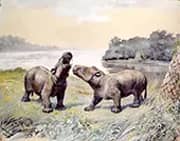 Coryphodon By Charles R Knight