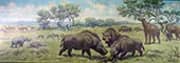 Oxydactylus Menoceras Parahippus Dinohyus and Moropus from the Miocene By Charles R Knight