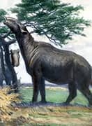 Paraceratherium By Charles R Knight