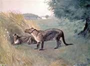 Phenacodus By Charles R Knight