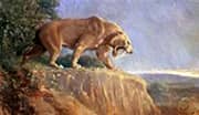 Smilodon 1903 By Charles R Knight