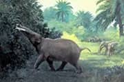Trilophodon or Mastodon Angustidens By Charles R Knight