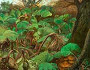 Garden with Rhubarbs at Herlufsholm By Hans Andersen Brendekilde