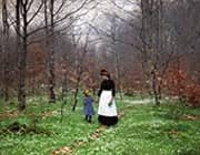 Springtime the First Anemones 1889 By Hans Andersen Brendekilde