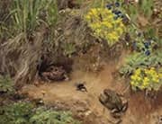 Toads and a Bumblebee 1912 By Hans Andersen Brendekilde