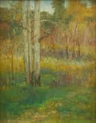 Bush Scene By Jane Price