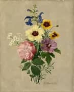 Flowers By Pierre-Joseph Redoute