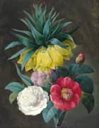 Four Peonies and a Crown Imperial By Pierre-Joseph Redoute