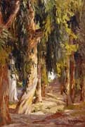 Eucalyptus in Fairy Wood By Anna Althea Hills