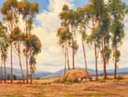 Eucalyptus Landscape with Rolling Hills 1919 By Anna Althea Hills