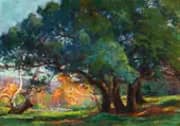 Oaks Irvine Park By Anna Althea Hills
