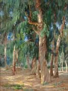 Trees in front of Hotel Laguna By Anna Althea Hills