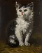 A Black and White Kitten By Rudolf Epp