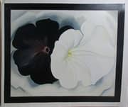 Black Petunia And White Morning Glory 1926 1 By Georgia O Keeffe