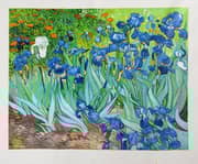 Irises 1889