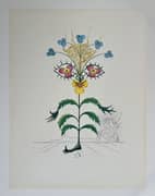 Salvador Dali, Viola Cogitans