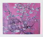 Vincent van Gogh, Branches with Almond Blossom Magenta