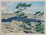 A J Casson, White Pine 1957