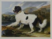 Edwin Henry Landseer, Edwin Henry Landscape Lion a Newfoundland Dog 1824