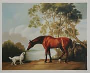 George Stubbs, Bay Horse and White Dog