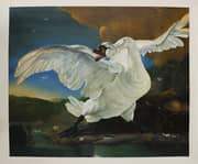 Jan Asselijn, Jan Asselyn the Threatened Swan 1640