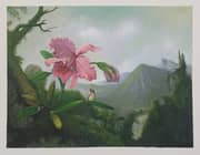 Martin Johnson Heade, Orchid and Hummingbird near a Mountain Waterfall 1902