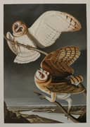 Custom Painting 2128