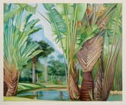 Marianne North Study of The Travellers Tree of Madagascar in The Botanic Garden of Rio 1880