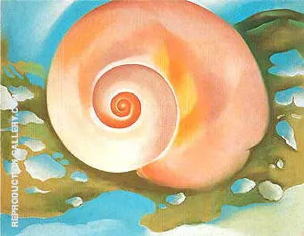 Pink Shell with Seaweed c1937 | Oil Painting Reproduction