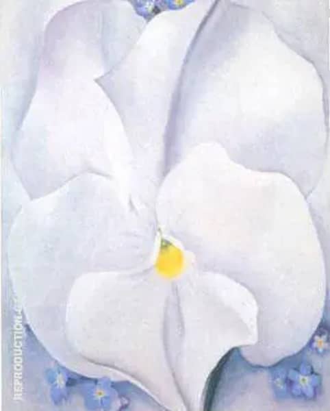 White Pansy 1927 by Georgia O'Keeffe | Oil Painting Reproduction