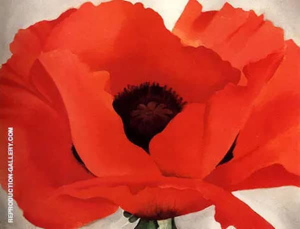 Red Poppy by Georgia O'Keeffe | Oil Painting Reproduction